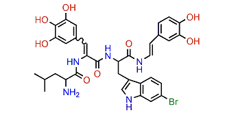 Celenamide A